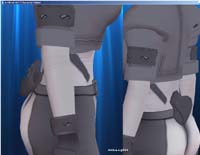 Holster